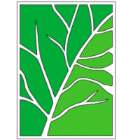 EdOptions Preparatory Academy - Nogales
